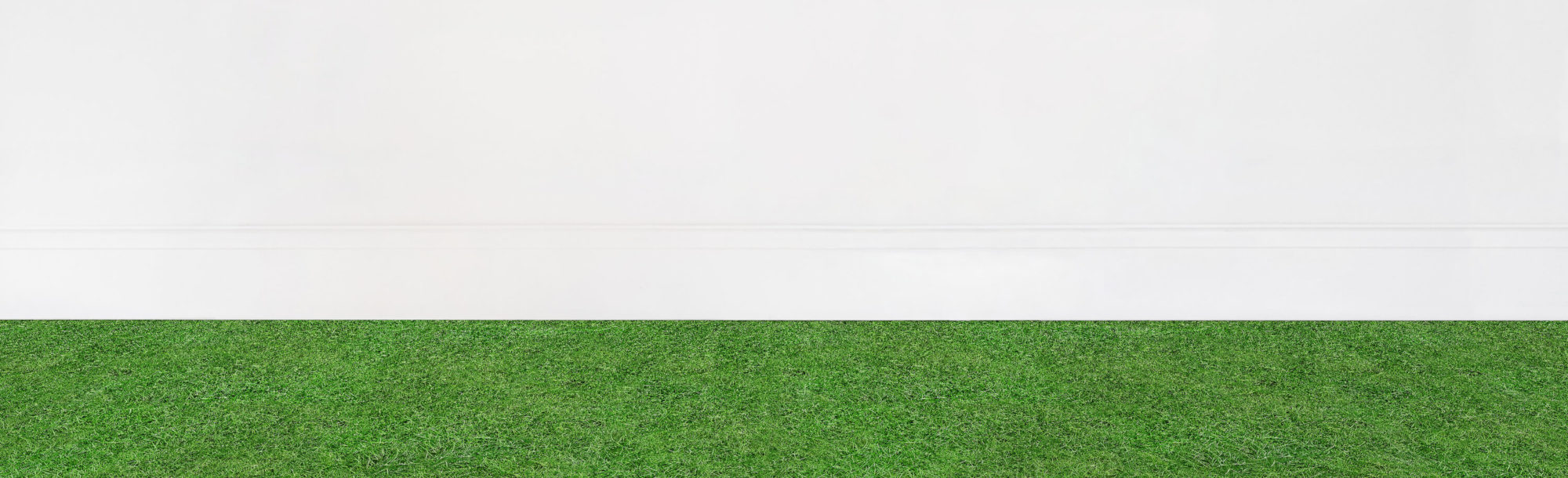 Nature Category Banner