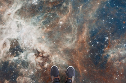 tarantula-photo-vinyl-flooring-feet